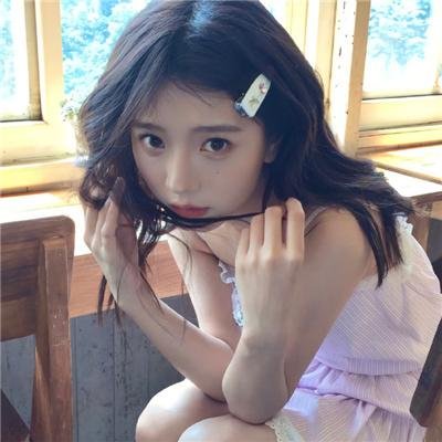 挎斗摩托车里的狗